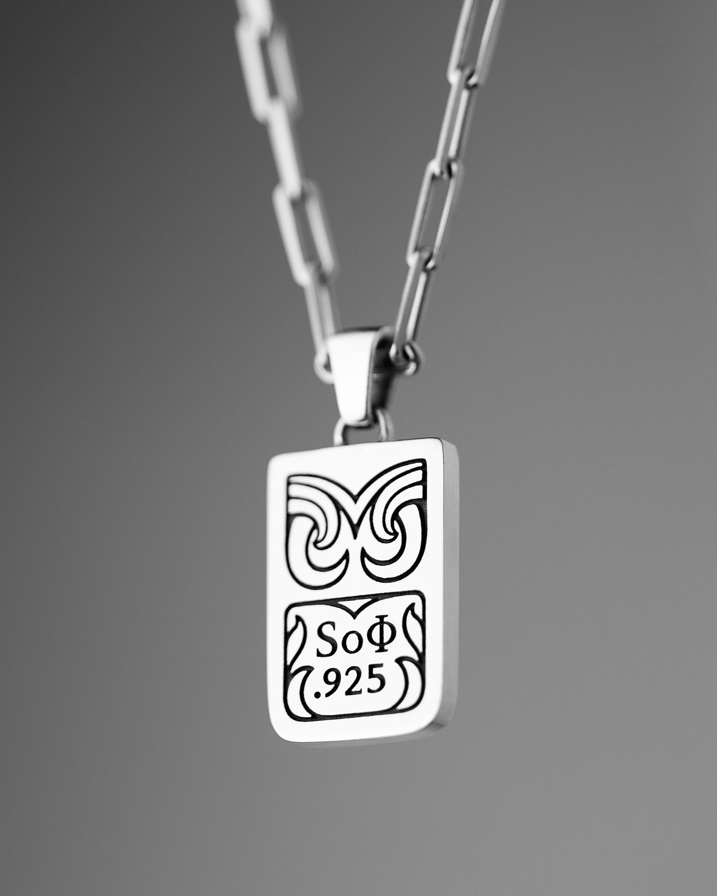 Lioness Rectangle Pendant Necklace